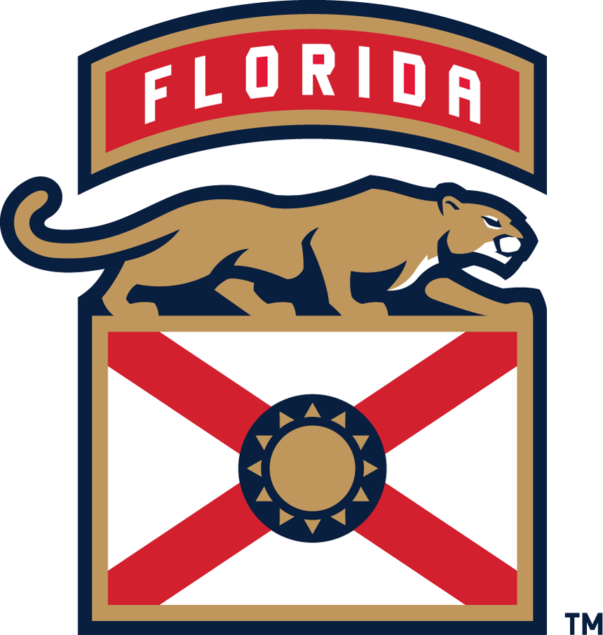 Florida Panthers 2016-Pres Alternate Logo iron on transfers for clothing version 4